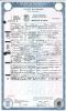 Nellie M (Moore) Allison - Death Certificate