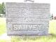 Hermas and Aurilla Sauvey - Headstone